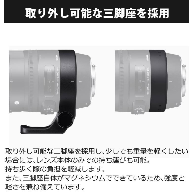 (レビューでキャッププレゼント) ケンコー高品質フィルターセット シグマ 150-600mm F5-6.3 DG OS HSM (C) ニコン用&ケンコー ZXII プロテクター (レビューでキャッププレゼント) ケンコー高品質フィルターセット シグマ 150-600mm F5-6.3 DG OS HSM (C) ニコン用&ケンコー ZXII プロテクター