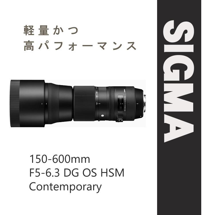 （レビューでキャッププレゼント） ケンコー高品質フィルターセット シグマ 150-600mm F5-6.3 DG OS HSM (C) テレコンバーターキットキヤノン＆プロテクター｜homeshop｜02