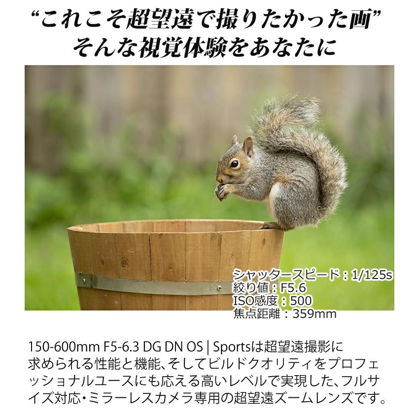 TAMRON 50-400mm F4.5-6.3 Di III Eマウント シグマ （レビューでキャッププレゼント） ケンコー高品質フィルター