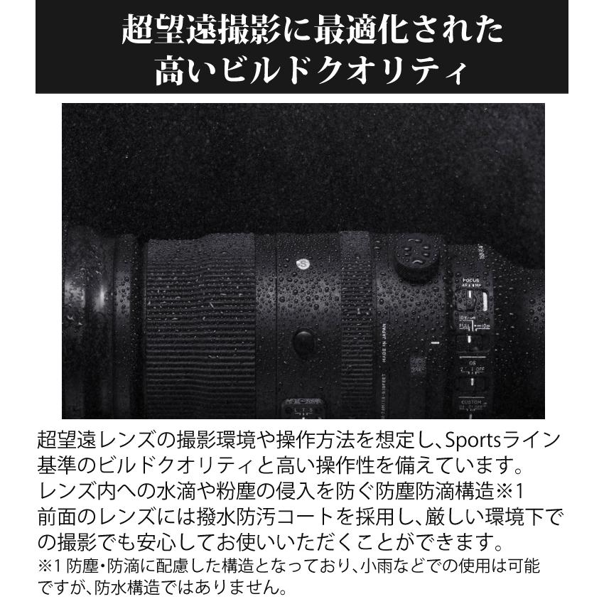 シグマ （レビューでキャッププレゼント） ケンコー高品質