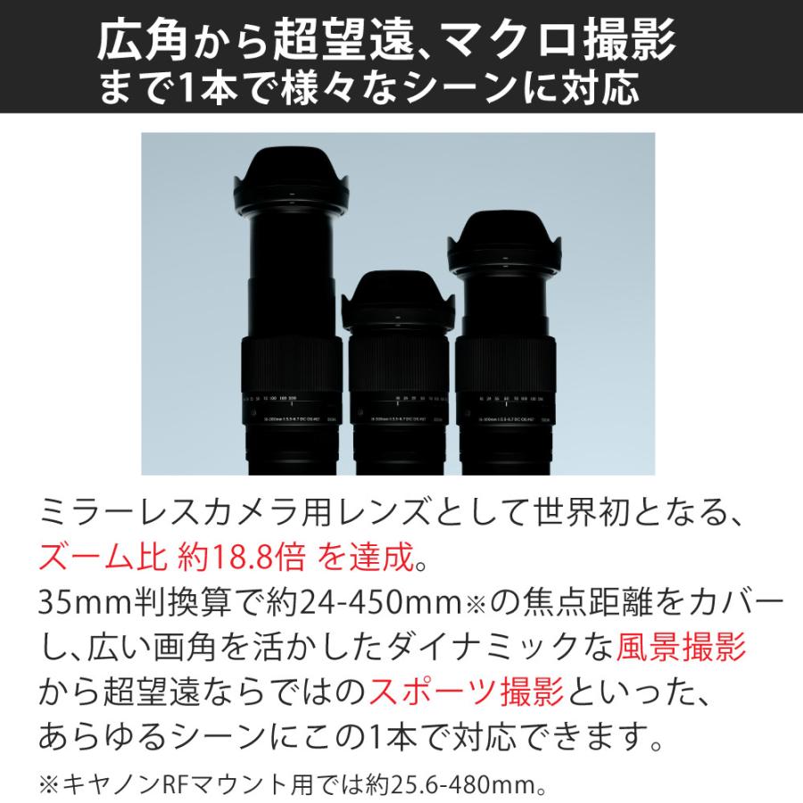 シグマ（SIGMA） （レビューでプレゼント） バッグ付き 16-300mm F3.5
