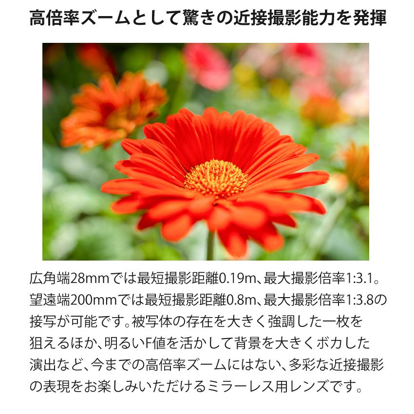TAMRON (レビューでプレゼント) ケンコー高品質フィルター TAMRON (レビューでプレゼント) ケンコー高品質フィルター
