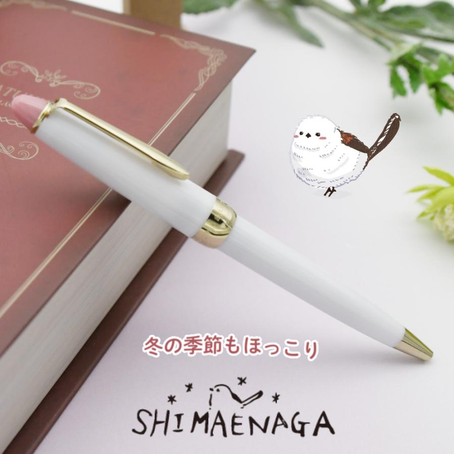 セーラー万年筆 ホームショッピングオリジナル ボールペン 春を待つ