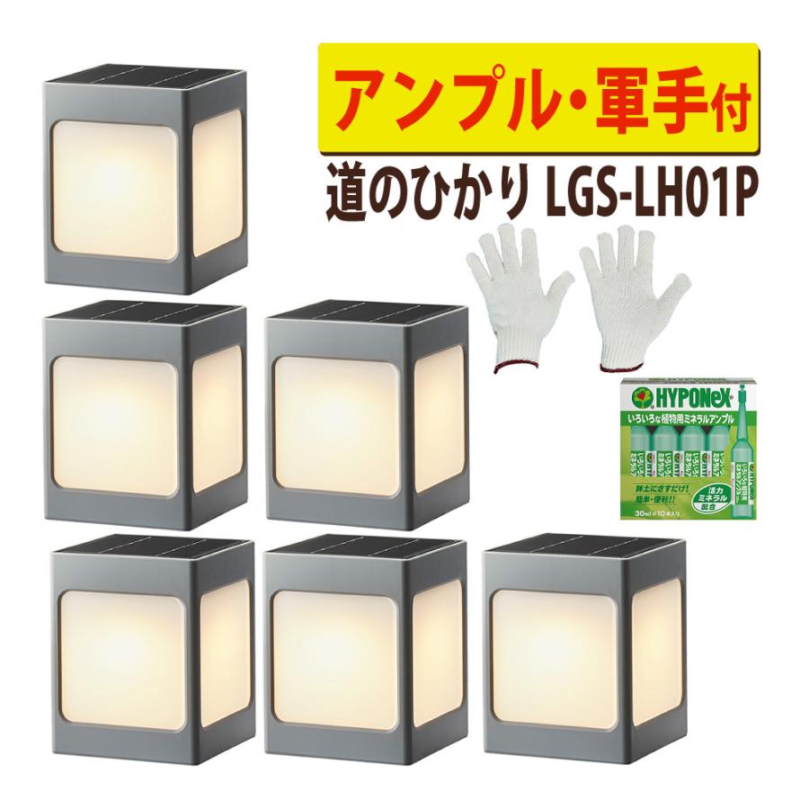 タカショー LGS-LH01P ブラック ひかりノベーション SUNCHARGE 道の