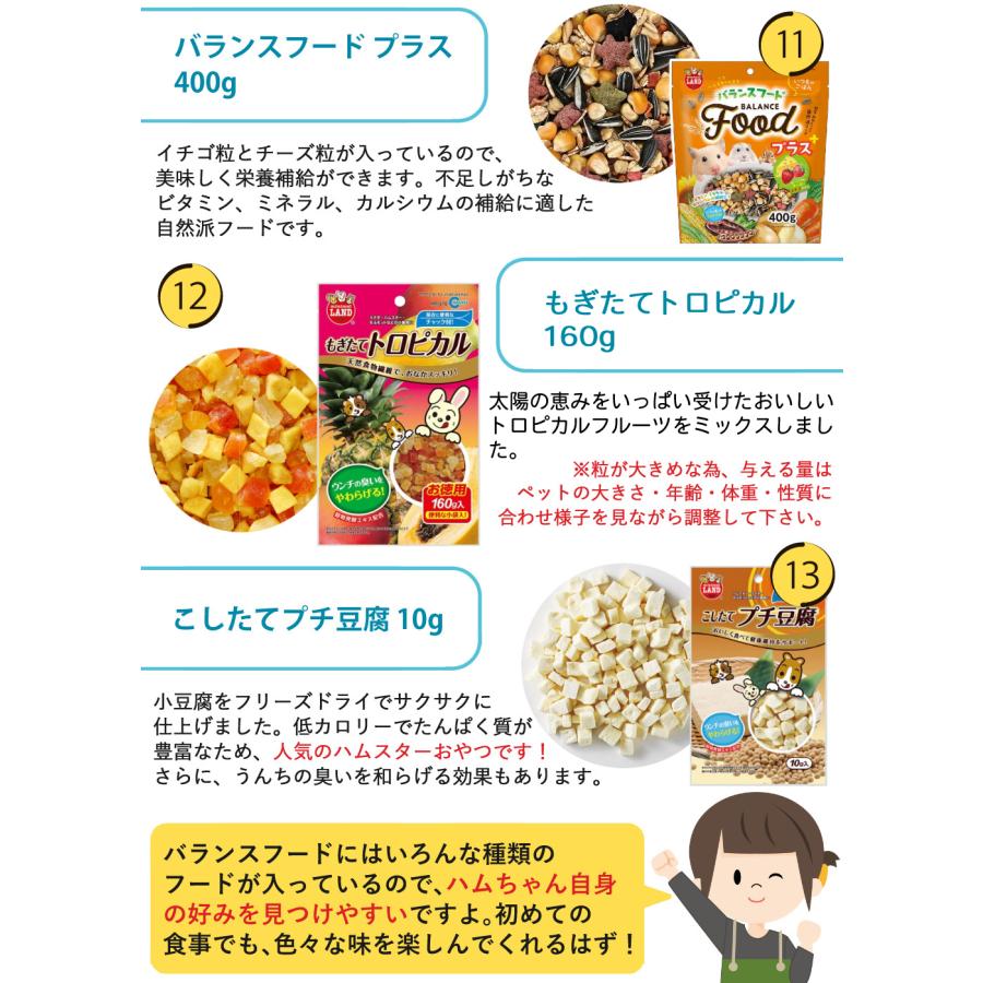 マルカン クリーンケージ 460 ＋ ハムスター 飼育 用品付き 15点セット