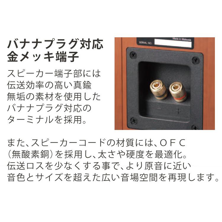 ケンウッド (電池&クロス付) ミニコンポ XK-330-N ゴールド ケンウッド (電池&クロス付) ミニコンポ XK-330-N ゴールド