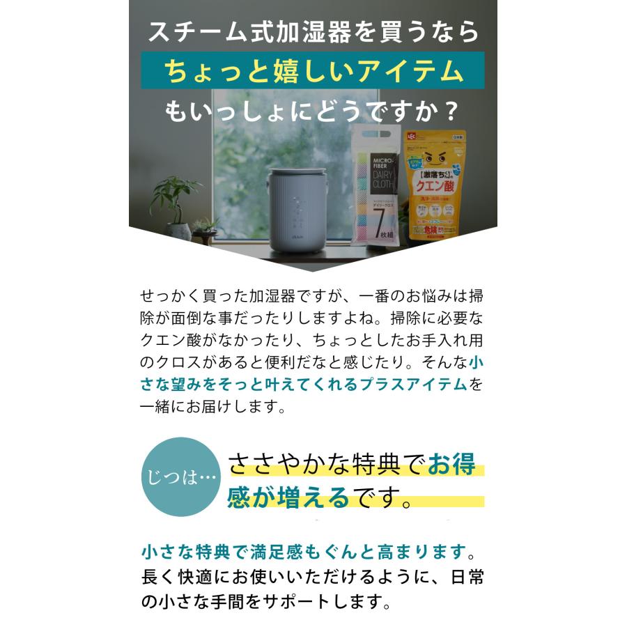 duux スチーム式加湿器 Dawn DXHU41JP ホワイト DXHU40JP グレー お