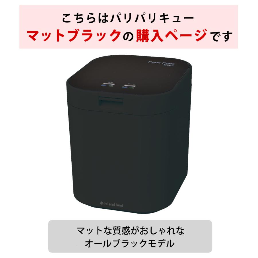 島産業 レビュー特典有 フィルター2個入 シマ株式会社 パリパリキュー