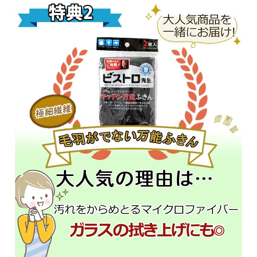 生ごみ処理機 HURIEN ヒューリエン ハイブリッド式 HD-N100 2024 生ごみ処理機 HURIEN ヒューリエン ハイブリッド式 HD-N100 2024
