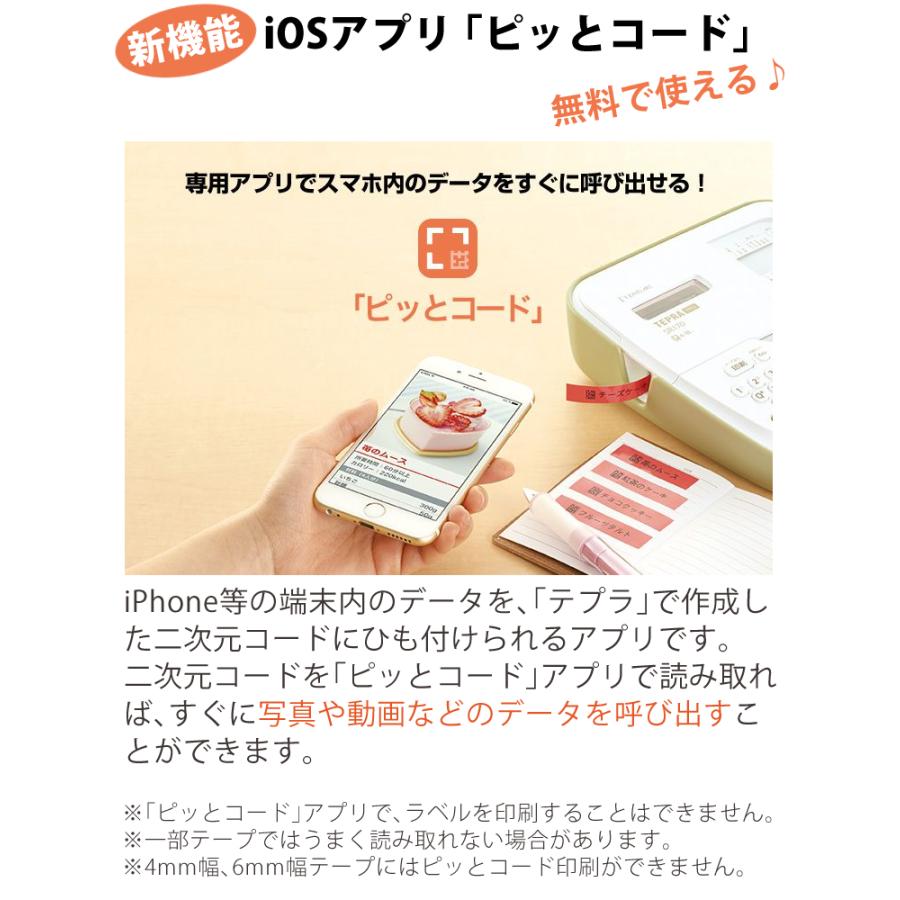 テプラ (テープ1本プレゼント) 本体＆テープセット SR170 ラベル