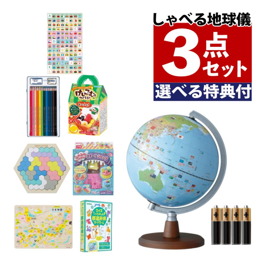 しゃべる国旗付き地球儀スタンダードレイメイ藤井