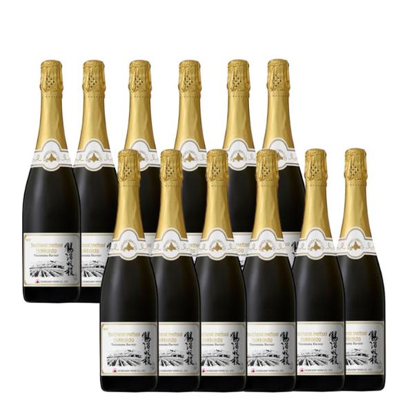 時間指定不可 12本セット スパークリングワイン 北海道ワイン トラディショナル メソッド 北海道 鶴沼収穫 白 辛口 発泡 750ml ラッピング不可 ホームショッピング 通販 Paypayモール 送料無料 Www Wmcmuaythai Org