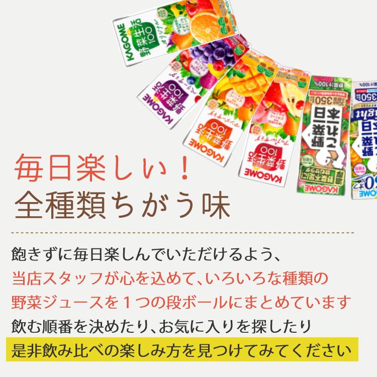 (カゴメ + 伊藤園 野菜ジュース 他 選ばない 飲み比べ セット) 34種 紙パック 200ml 常温配送 野菜生活 野菜一日これ一本 充実野菜 青汁 りんご酢 黒酢|ホームショッピング|05