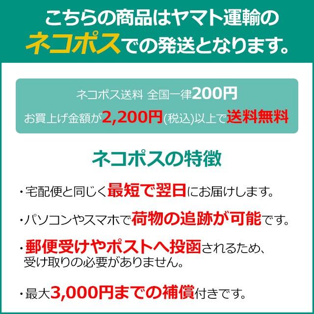 サージカルステンレス 金属アレルギー対応 トリプルウッドリング ステンレス ピアス 1ペア レディース｜homeslicepro｜13