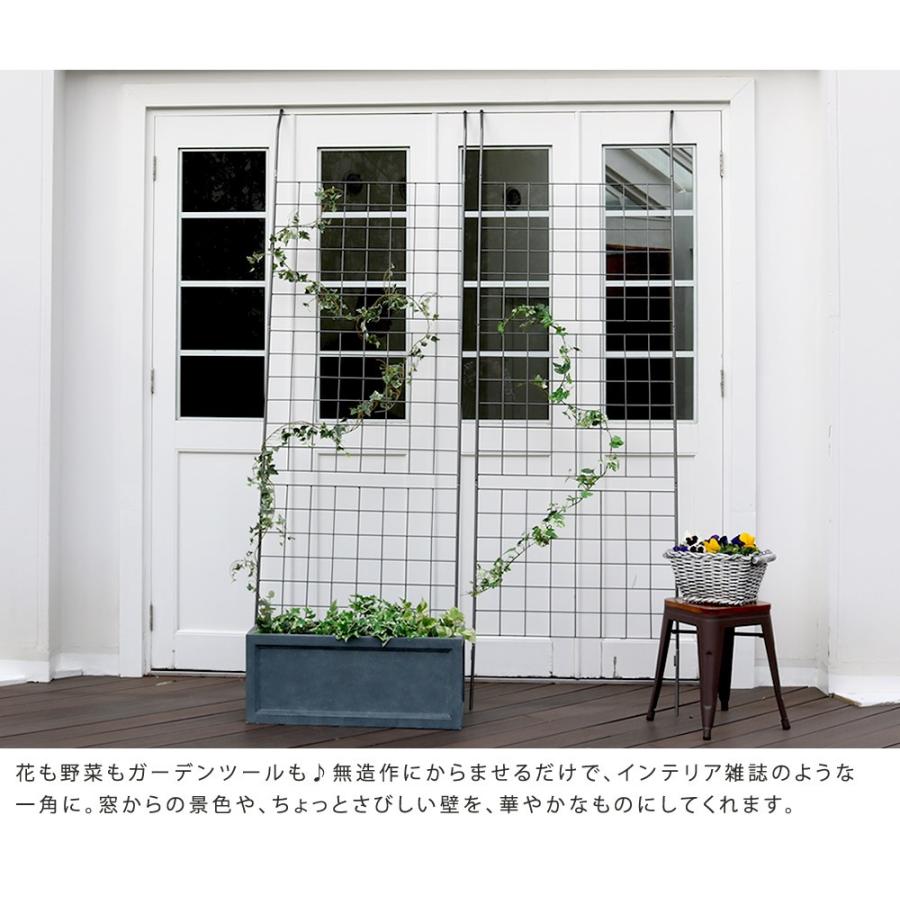 アイアン製グリーンカーテン グラフ 送料無料 フェンス アイアン グリーンカーテン ゴーヤ 薔薇 バラ 朝顔 庭 ベランダ Ss262 送料無料 Ss262 ホームスタイル 通販 Yahoo ショッピング