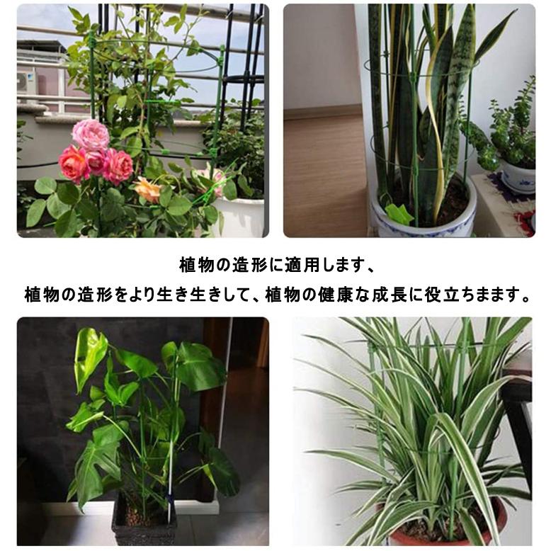 夏休み自由研究 植物園芸用品 154点セット 園芸用品支柱 盆栽用 リング支柱 盆栽 鉢植え用 観葉支柱セット ガーデニング用具 長さ45cm 直径18cm 三茶delife 通販 Yahoo ショッピング