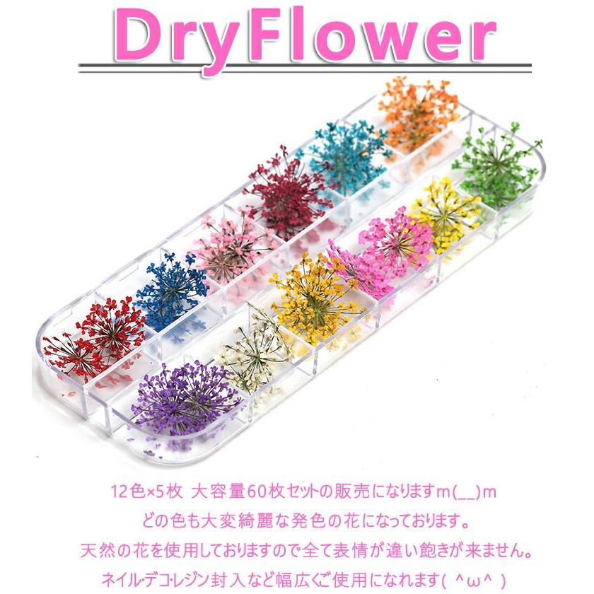 押し花 レースドライフラワー 大人気 ネイル 本物の押し花 ネイルアート ドライフラワー上質押し花６０枚入り１２色 各５枚透明収納ケース Sc 三茶delife 通販 Yahoo ショッピング