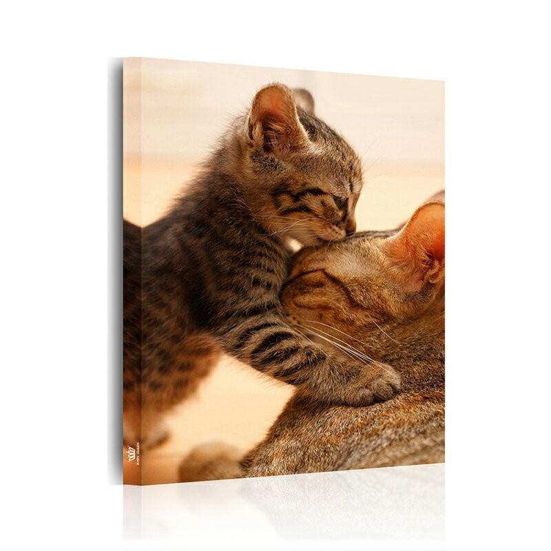 猫の絵画 猫の親子 猫好き 壁掛け絵画 子供部屋 インテリア トイレ ベッドルーム 店舗装飾 ベビールーム Sc0063 64 65 66 三茶deらいふ 通販 Yahoo ショッピング