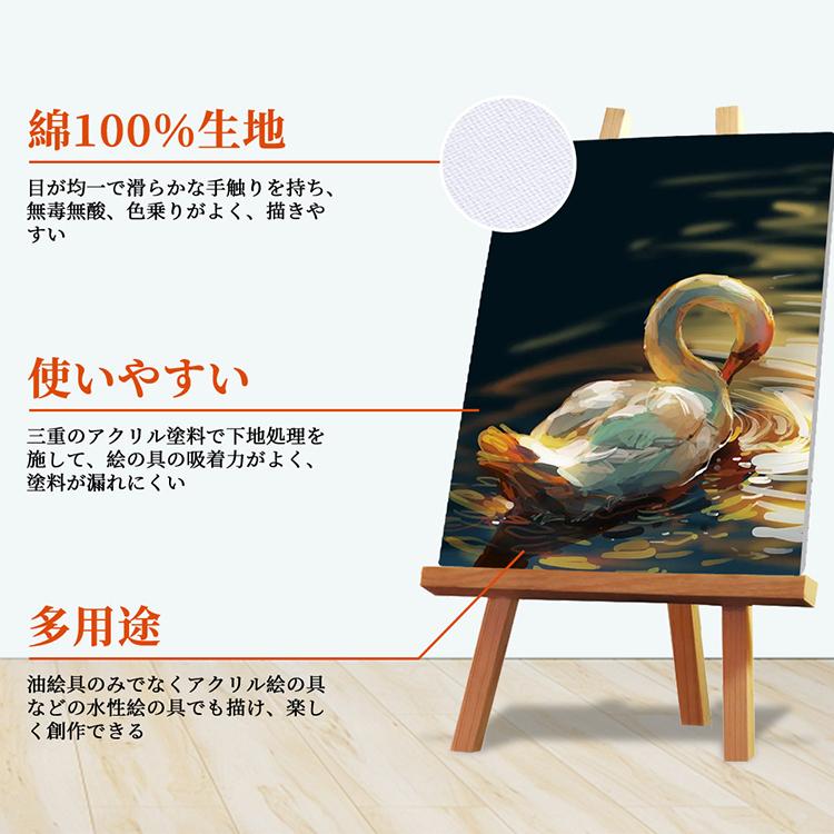 張りキャンバス キャンバス 画材 アート個展 木枠 12枚セット