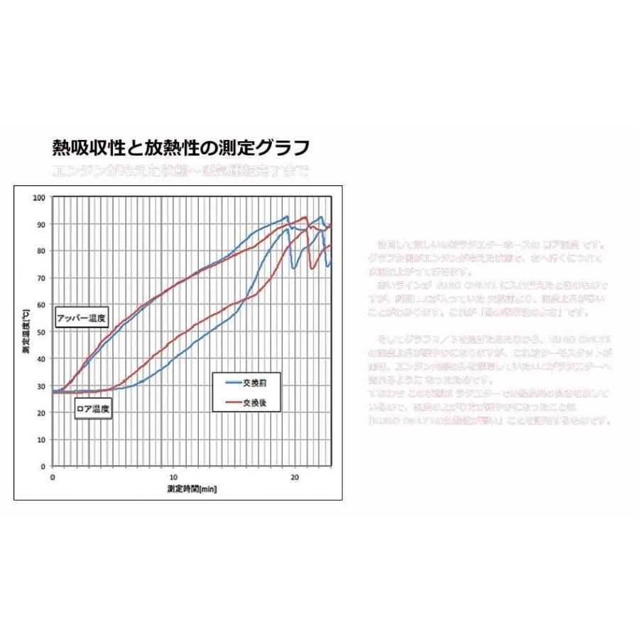 Leman EURO ONLY 1 欧州車用冷却水[4L]×4｜hometokufuretama｜02