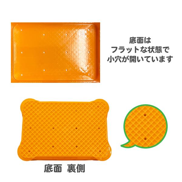 コンテナ 農業用 ハーフコンテナ 平底 オレンジ 農作業 収穫コンテナ 収穫カゴ プラスチックコンテナ 浅型｜hometokufuretama｜02