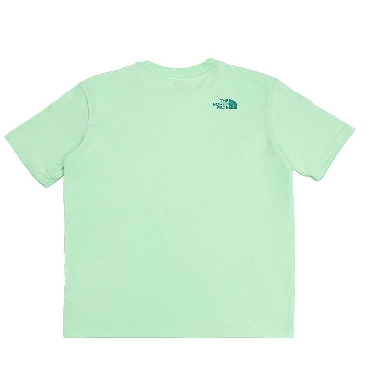 THE NORTH FACE 日本未入荷 ザ・ノースフェイス アパレル T