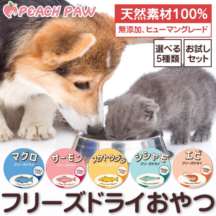 880円から選べる5種類 犬 猫 おやつ 無添加 天然素材 無着色 フリーズ