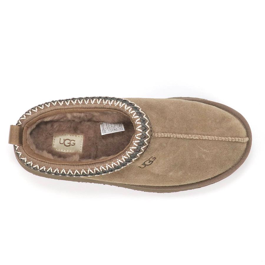 UGG アグ シューズ スリッポン TAZZ タズ スリッパ ルーム UGG アグ シューズ スリッポン TAZZ タズ スリッパ ルーム