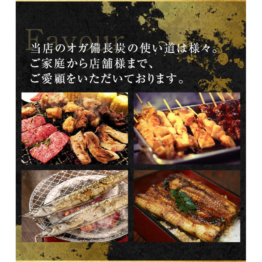 炭職人 オガ炭 国産 30kg (10kg×3箱) オガ備長炭 長時間燃焼 高火力