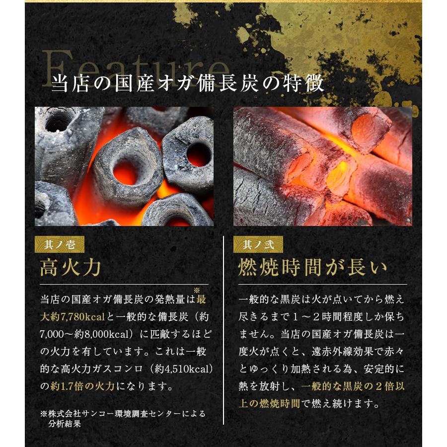 炭職人 オガ炭 国産 30kg (10kg×3箱) オガ備長炭 長時間燃焼 高火力