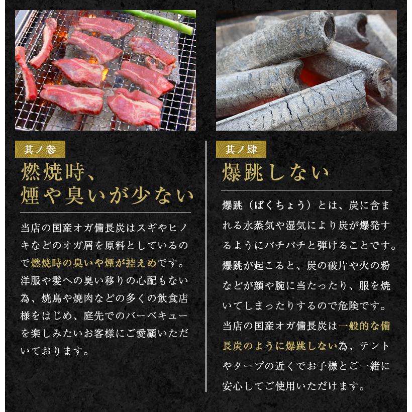 オガ炭 国産 30kg (10kg×3箱) 炭職人 オガ備長炭 長時間燃焼 高火力 白炭 オガ 備長炭 高品質 焼き鳥 焼肉 キャンプ ソロ バーベキュー BBQ 飲食店 「yama」｜hommalab｜11