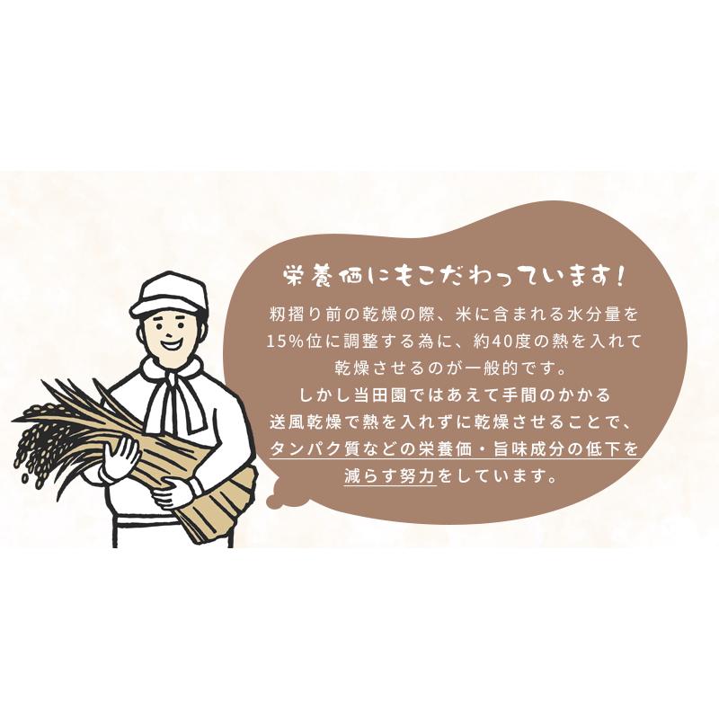 米 5kg 送料無料 京都府産 ヒノヒカリ 令和5年産 お米 白米 玄米 精米 宇治茶農家 有機栽培 減農薬栽培 洗米 100％ヒノヒカリ ノーブレンド 新米「takumu」｜hommalab｜05