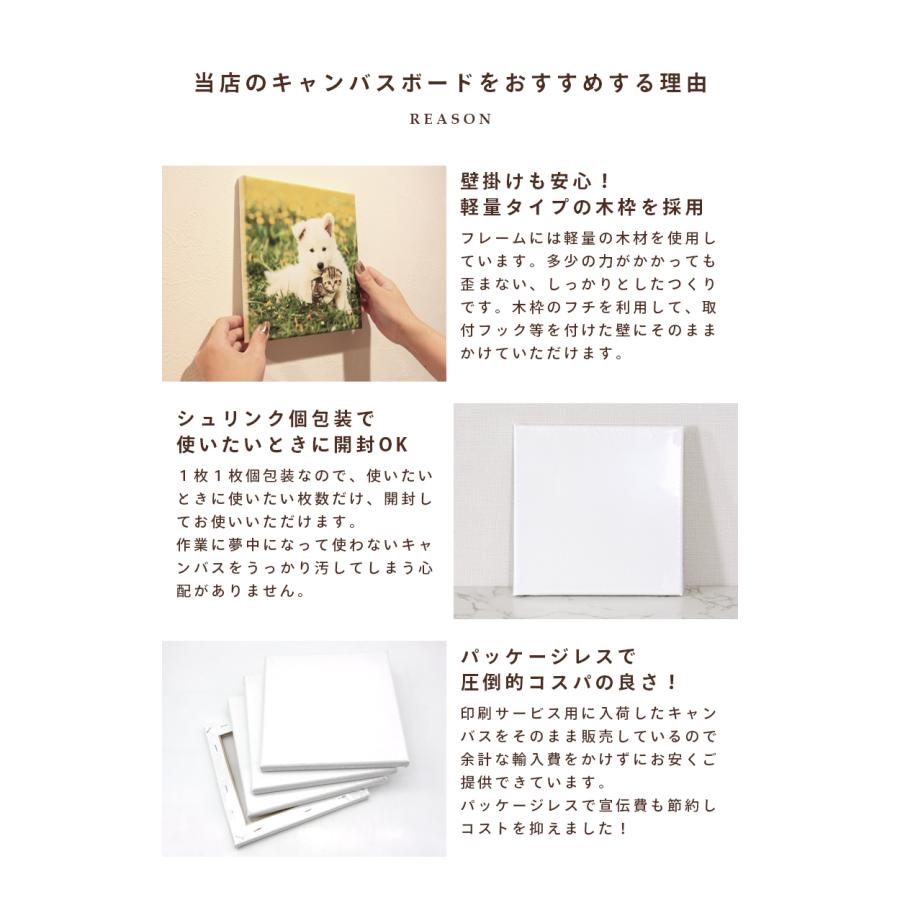 キャンバスボード 10枚セット 30cm×30cm 中目 張りキャンバス Mサイズ