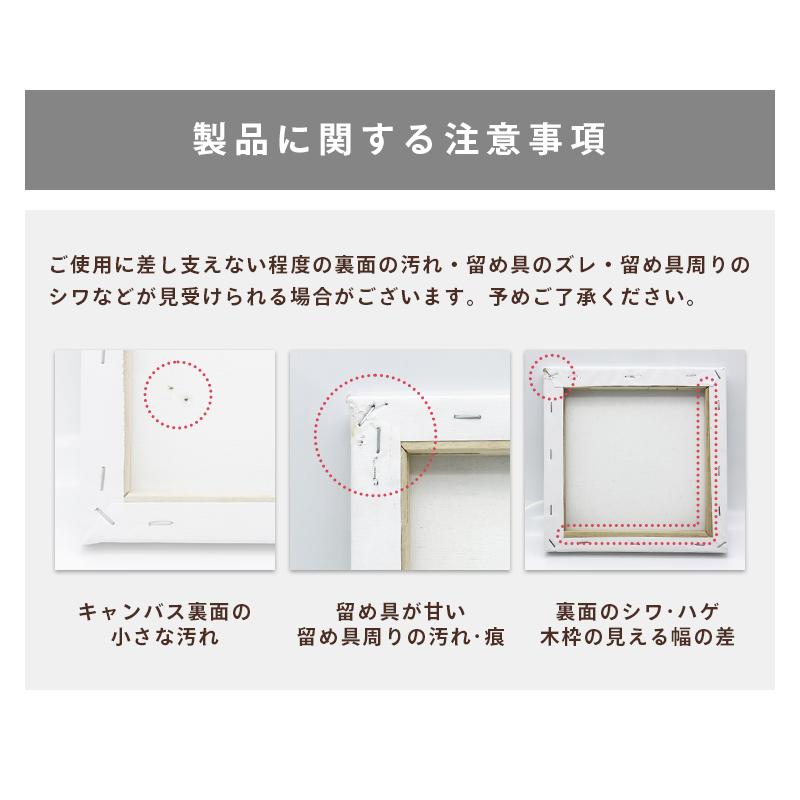 キャンバスボード 10枚セット 30cm×30cm 中目 張りキャンバス Mサイズ