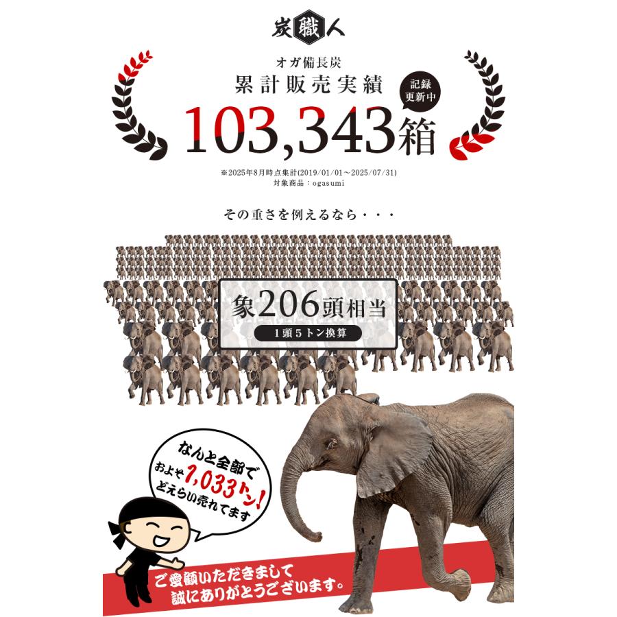 炭職人 炭 「3セット」炭職人 オガ炭 30kg (10kg×3箱) オガ備長炭 高
