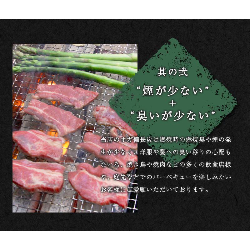 炭職人 炭 オガ炭 10kg オガ備長炭 高火力 長時間燃焼 煙少 白炭 オガ