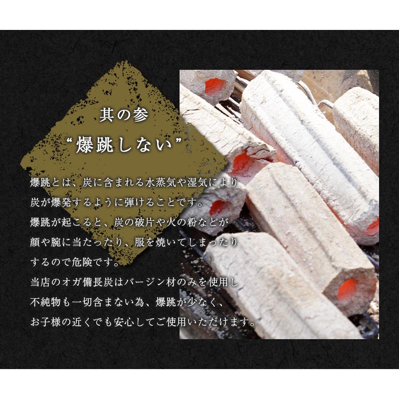 備長炭　白炭　10kg ① 炭職人 炭 オガ炭 10kg オガ備長炭 高火力 長時間燃焼 煙少 白炭