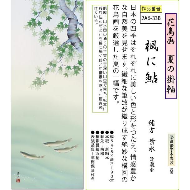 夏の掛け軸 楓に鮎 緒方葉水 尺五 本表装 床の間 花鳥画 モダン 掛軸[送料無料]｜honakote｜02