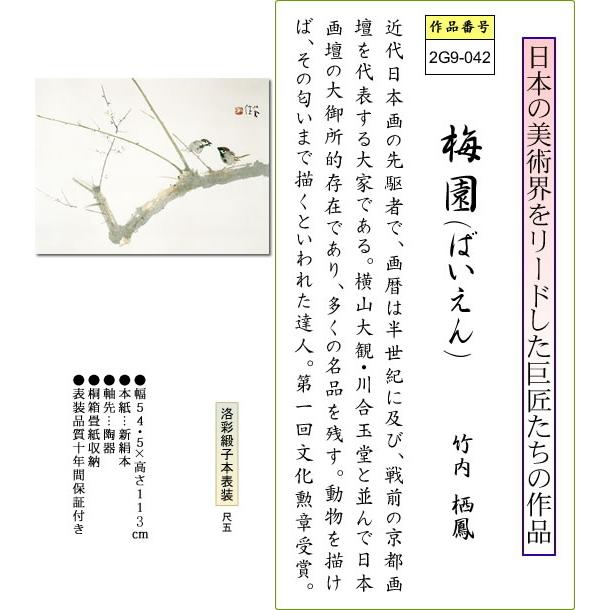 掛け軸 掛軸 梅園(ばいえん) 竹内栖鳳 尺五横 床の間 モダン 掛け軸 掛軸 梅園(ばいえん) 竹内栖鳳 尺五横 床の間 モダン