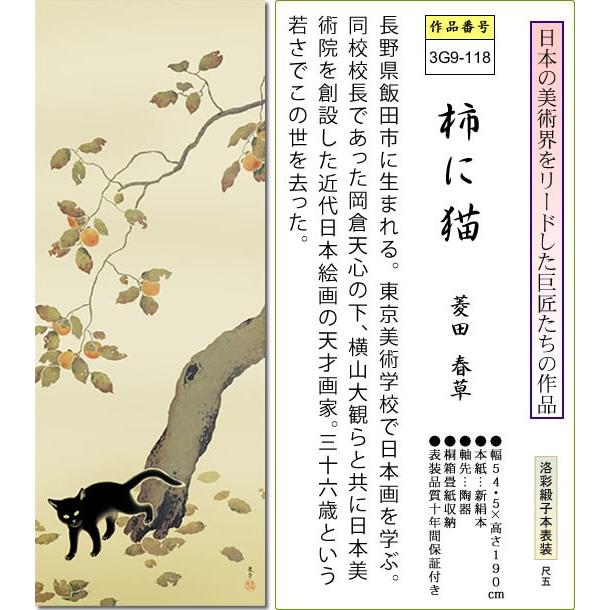 掛け軸-柿に猫／菱田 春草(尺五) 床の間 和室 お洒落 モダン かきに