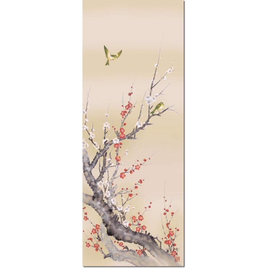 掛軸 圭泉 梅に鶯 共箱 花鳥図 紅白梅 楽天市場】掛け軸 梅 鶯の通販