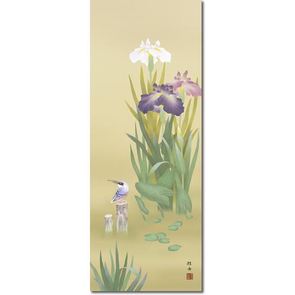 掛軸 掛け軸-菖蒲にかわせみ/長江桂舟 花鳥掛軸送料無料(尺五)夏用