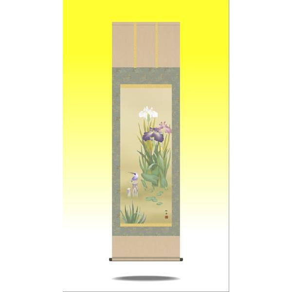 掛軸 掛け軸-菖蒲にかわせみ/長江桂舟 花鳥掛軸送料無料(尺五)夏