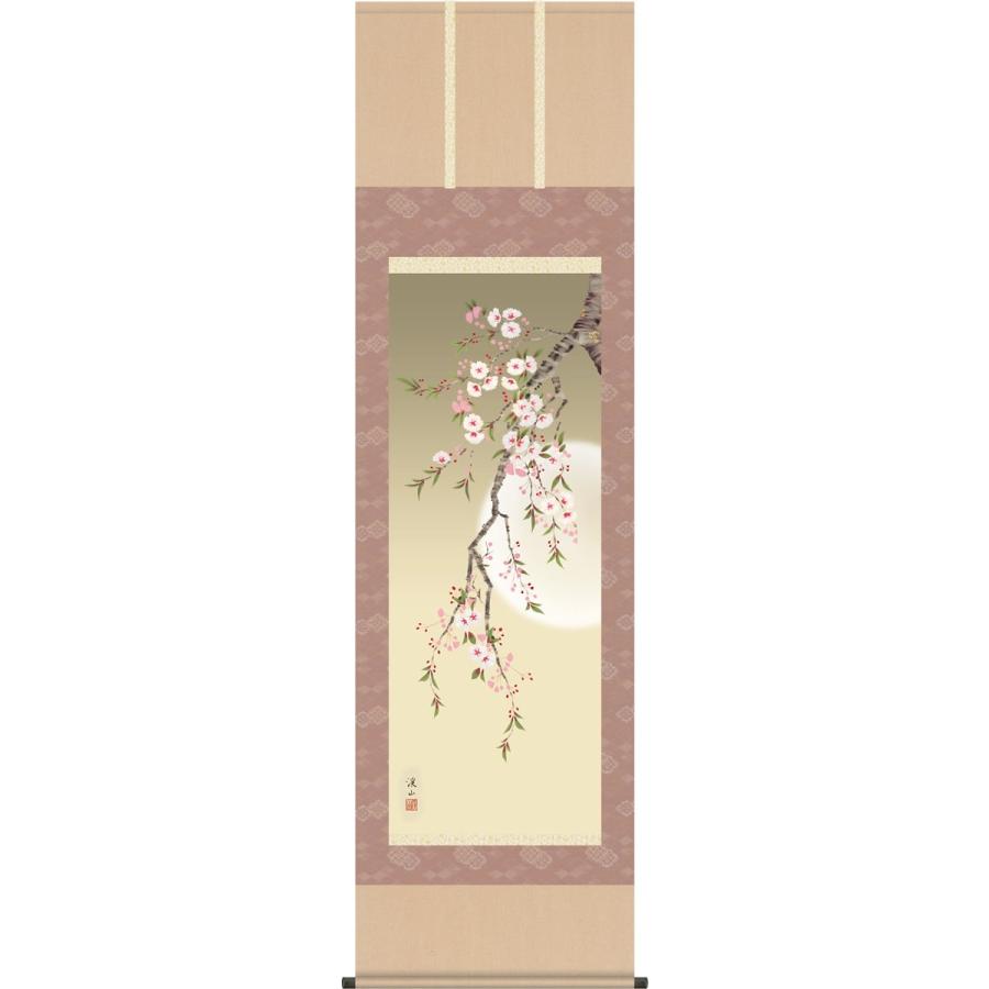 掛け軸 掛軸-夜桜/伊藤 渓山[尺三 化粧箱 風鎮 和室 床の間 花鳥画 かけじく モダン インテリア 壁掛け 安い 贈物 ギフト 日常 年中 飾る]幅44.5×高さ164cm｜honakote