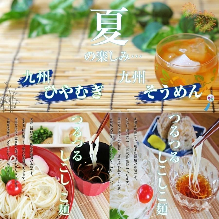 そうめん ひやむぎ 冷麦 素麺 お取り寄せ 九州熟成そうめん250g×2袋