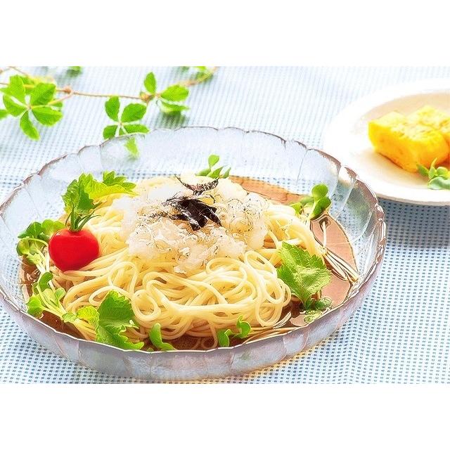 冷やし中華 つけ麺 つゆ付き ざるそば 冷麺 さっぱり 冷し麺 特選スープ7種 冷しゃぶサラダ感覚 選べるセット 3種6人前 お試しグルメギフト Ku Selectset3syu 005 C 本場九州ラーメン専門店 通販 Yahoo ショッピング