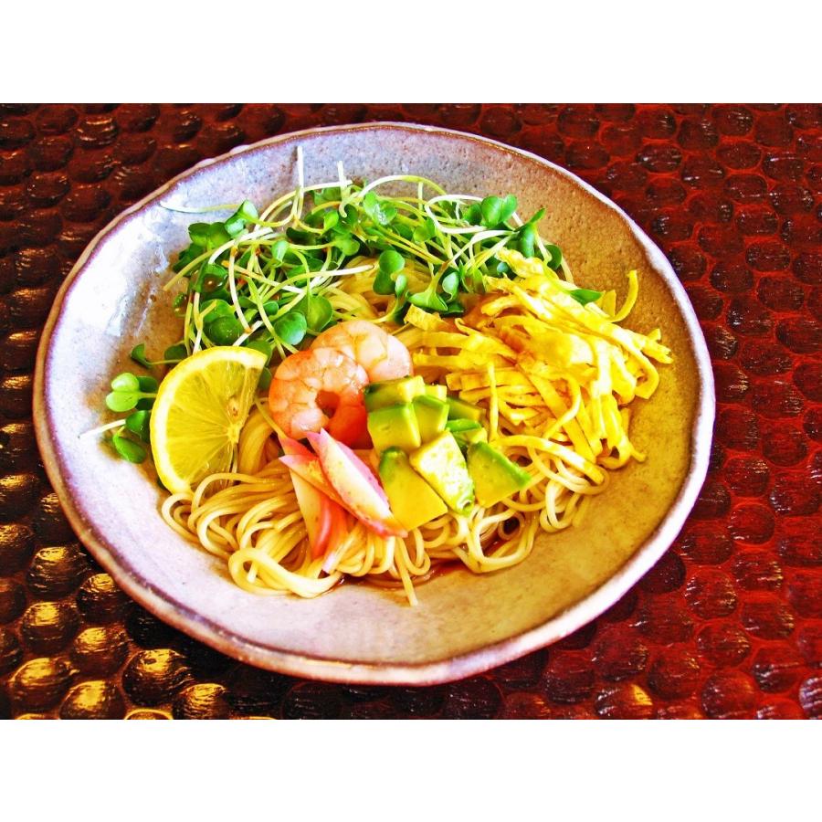 冷やし中華 つけ麺 つゆ付き ざるそば 冷麺 さっぱり 冷し麺 特選スープ7種 冷しゃぶサラダ感覚 選べるセット 3種6人前 お試しグルメギフト Ku Selectset3syu 005 C 本場九州ラーメン専門店 通販 Yahoo ショッピング