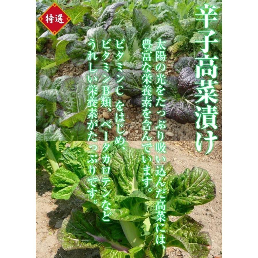 辛子高菜　お取り寄せ　明太子入り　ピリ辛高菜漬け　80g×2袋セット　九州特産品　ポイント消化　※3セットで1袋プレゼント！　お試しグルメギフト｜honba-kyusyu｜03