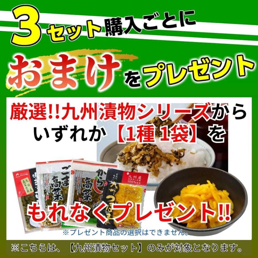 白ご飯に最高 漬け物 3種セット 博多名物からし高菜90g 九州つぼ漬130g