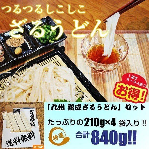 ざるうどん　お取り寄せ　九州ざる饂飩　210g×4袋　たっぷり　約8人前 セット 平打ち麺　つるつるモチモチ食感　熟成うどん麺　保存食お試しグルメ｜honba-kyusyu